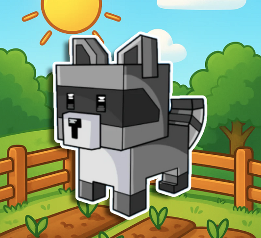 Racoon